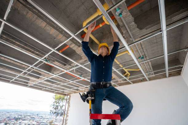 Best Toilet Repair Services  in Millville, DE